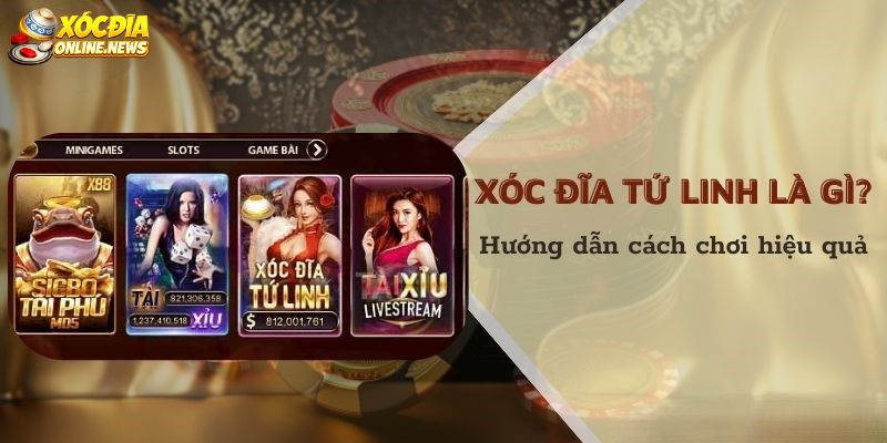 Chiến Thuật Săn Tứ Tử Trong Xóc Đĩa Và Cách Hiểu Đúng Xác suất Chiến thuật săn tứ tử trong xóc đĩa